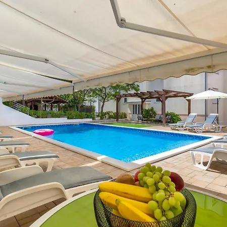 Mirela * פטרצ'אנה