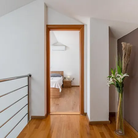 Apartment Mirela Petrcane