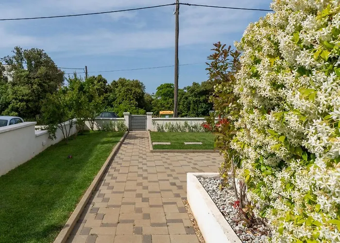 Mirela * Петрчане