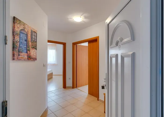 Mirela Петрчане