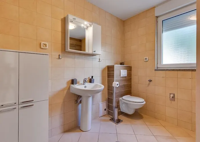 Mirela * 佩特坎内